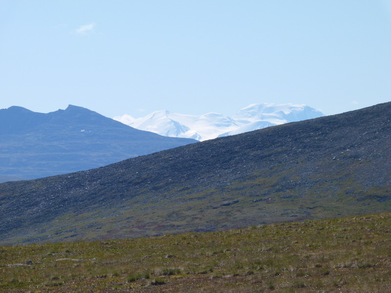 123.jpg