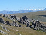 134.jpg