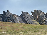 78.jpg