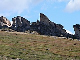 80.jpg
