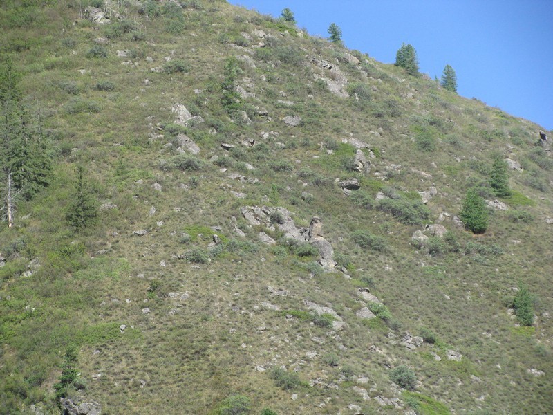107.jpg
