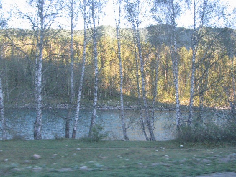 123.jpg