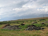 135.jpg