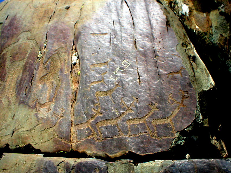 179.jpg