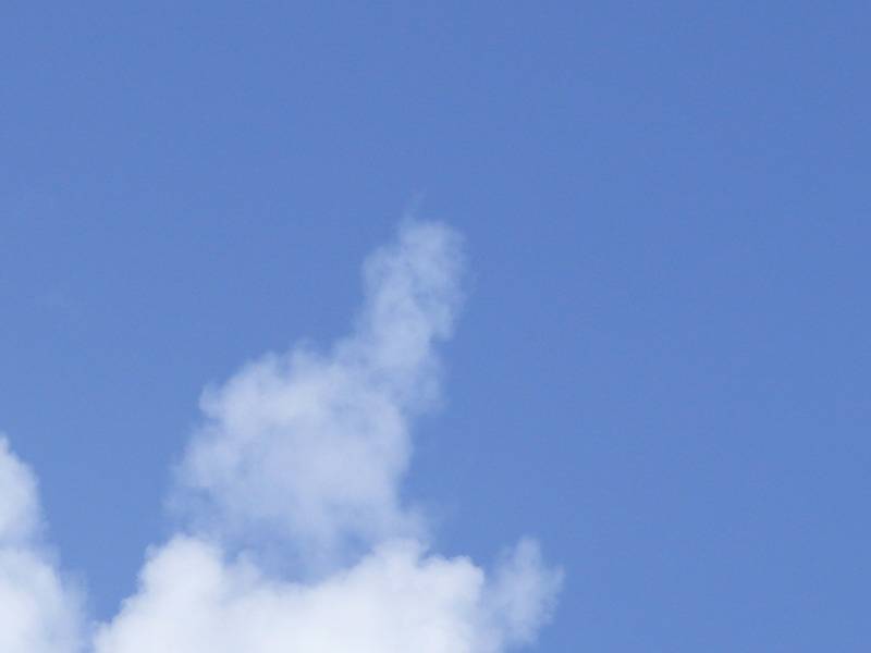 225.jpg