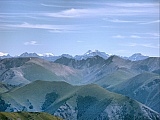 54.jpg