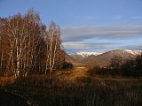 105.jpg