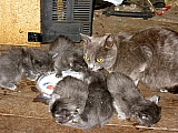 14.jpg
